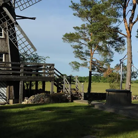 Windmill - Summer House 木屋 *