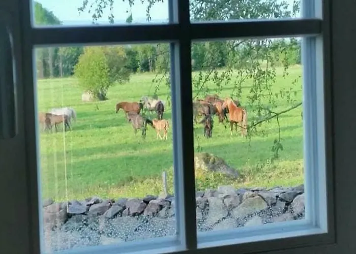 Windmill - Summer House