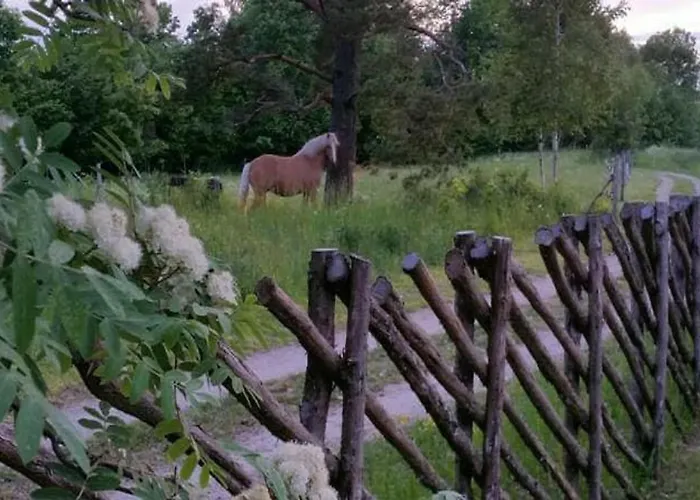 Windmill - Summer House Brvnara Moega