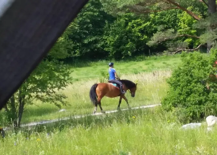 Windmill - Summer House
